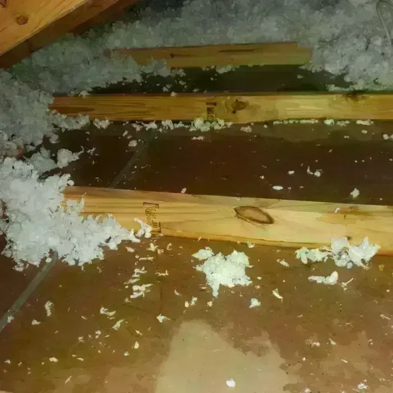 Attic Water Damage in Okemah, OK